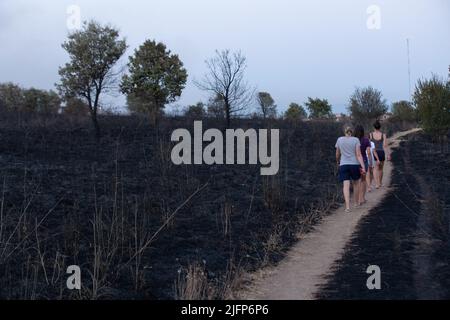 Roma, Italia. 4th luglio 2022. La gente cammina su un sentiero nel parco di Pineto che era in fiamme (Credit Image: © Matteo Nardone/Pacific Press via ZUMA Press Wire) Foto Stock