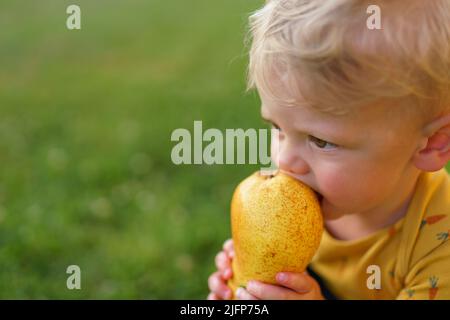 Carino ragazzo che mangia pera in giardino in estate. Foto Stock