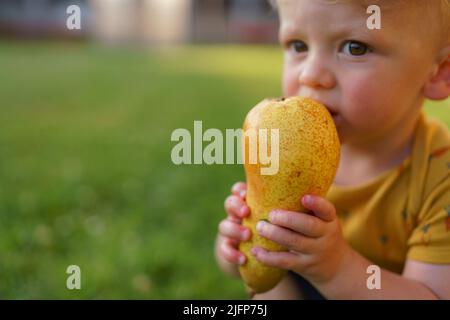 Carino ragazzo che mangia pera in giardino in estate. Foto Stock