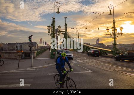 Budapest, Ungheria - 5 aprile 2022: Ponte della libertà al mattino Foto Stock