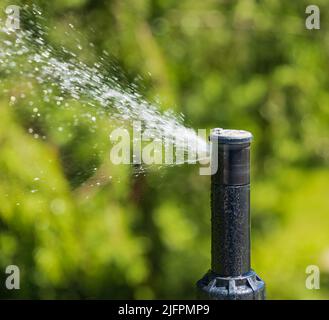 Sprinkler automatici che innaffiano l'erba. Sistemi di irrigazione per giardino. Sistema di irrigazione innaffiare l'erba verde. Irrigazione dell'impianto sprinkler in ambienti residenziali Foto Stock