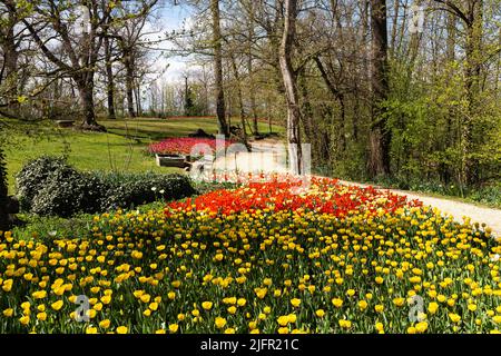 Il bellissimo giardino del Castello di Pralormo in primavera pieno di tulipani colorati, Piemonte, Italia Foto Stock