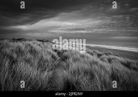 Mono paesaggio di dune costiere Foto Stock