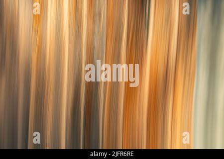 Immagine lineare astratta ICM (intenzionale movimento della telecamera) in tonalità dorate terrene Foto Stock