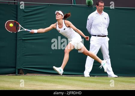 Tutti, Regno Unito. 4th luglio 2022. Lawn Tennis Club, Wimbledon, Londra, Regno Unito: Aliz Cornet francese durante la sua quarta perdita di round in Australia Ajla Tomljanovic a Wi, sanguinò oggi. Credit: Adam Stoltman/Alamy Live News Foto Stock