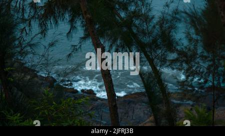 OM vista della spiaggia al mattino presto vista attraverso gli alberi Foto Stock