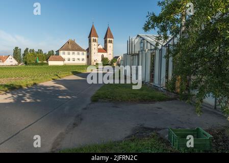 Chiesa di San Pietro e Paolo e serre sull'isola di Reichenau, Baden-Wuerttemberg, Germania Foto Stock