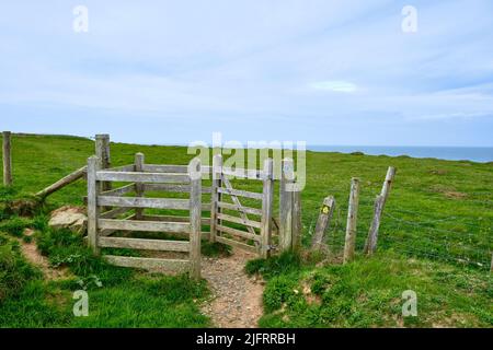 Una porta baciante sul Wales Coast Path vicino a Porth Colmon sulla penisola di Llyn Foto Stock