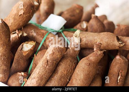 Mucchio di Cassava, anche chiamato manioca, yuca, balinghoy, mogo, Mandiota, kamoteng kahoy, tapioca e radice manioca, un arbusto legnoso delle Euphorbiaceae fami Foto Stock
