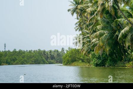 Sharavati fiume indietro acque limpide vista .palme sul lato.torre nella parte posteriore Foto Stock