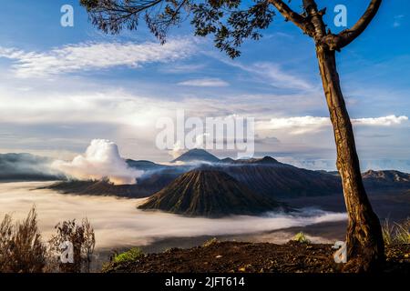 Vista sul monte bromo all'alba, Giava orientale, Indonesia. Foto Stock