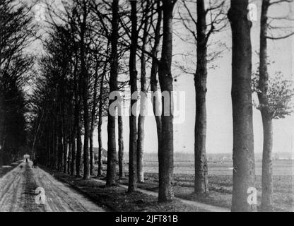 Dintorni rurali del Houtlaan ancora non asfaltato, in direzione del 'Heyendaalscheweg', prima metà degli anni '20 Foto Stock