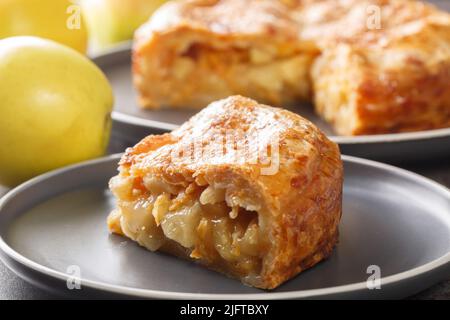 la torta di cheddar di mele combina una crosta di torta di cheddar al burro e un primo piano di ripieno di mele dolci alla cannella. Orizzontale Foto Stock