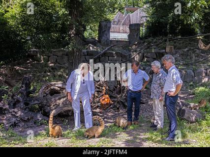 05 luglio 2022, Baden-Wuerttemberg, Karlsruhe: Il presentatore TV Thomas Gottschalk (l) si erge tra i coatis allo Zoo di Karlsruhe, mentre il direttore dello Zoo Matthias Reinschmidt (2nd da sinistra), il presentatore TV Frank Elstner (3rd da sinistra) e il sindaco Lord Frank Mentrup (SPD, r) si alzano e guardano. Thommy, di cui è sponsor onorario. All'inizio di novembre, la rimonta del programma televisivo 'Wetten, dass.?' era in corso. In esso, i relatori Thomas Gottschalk e Frank Elstner avevano promesso un tour guidato con lezioni scolastiche al Karlsruhe Zoo come scommessa, e hanno fatto bene su di esso oggi. Foto: Philipp von Ditfurth/dpa Foto Stock