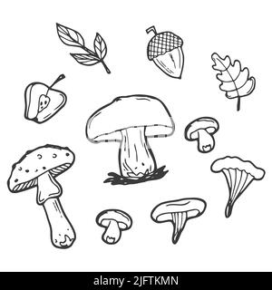 Il doodle autunnale si trova su uno sfondo bianco. Illustrazione vettoriale in bianco e nero di un insieme autunnale di ghiande, foglie e funghi. Oggetti isolati Illustrazione Vettoriale