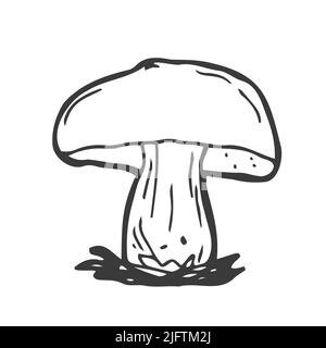 Illustrazione vettoriale disegnata a mano con funghi porcini. Disegno di stile di schizzo isolato su sfondo bianco con pezzi tagliati. Oggetto vegetariano biologico per m Illustrazione Vettoriale