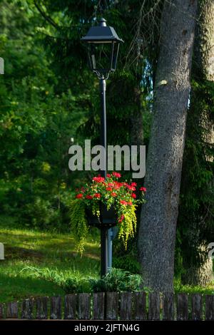 Vasi di fiori colorati appesi a un palo di lampada di metallo Foto Stock