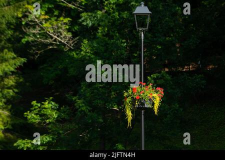 Vasi di fiori colorati appesi a un palo di lampada di metallo Foto Stock