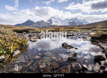 Grande montagna coperta di neve e ghiacciaio con laghetto alpino di fronte ad esso, Jasper N.Park, Canada Foto Stock