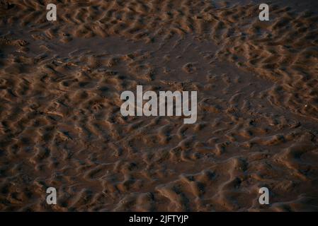 Scudio fluviale. Fondo sabbioso dopo lo spreco di acqua. Foto Stock