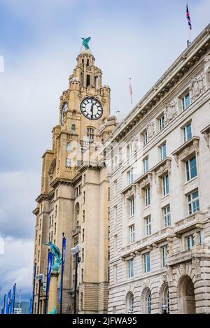Edificio Royal Liver. Edificio di categoria i. Liverpool, Merseyside, Lancashire, Inghilterra, Regno Unito Foto Stock