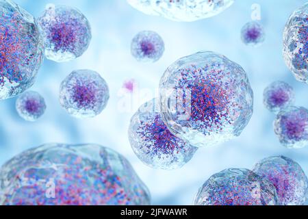 Globuli bianchi con nucleo e granulo. Membrana cellulare trasparente . Concetto di scienza e medicina background . 3D rendering . Foto Stock
