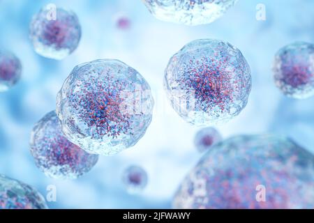Globuli bianchi con nucleo e granulo. Membrana cellulare trasparente . Concetto di scienza e medicina background . 3D rendering . Foto Stock
