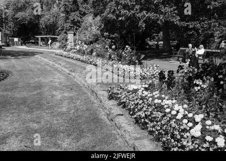 Vista sul Parco Boscowen, Malpas, Truro, Cornovaglia Foto Stock