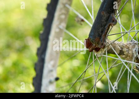 Primo piano di una vecchia ruota di bicicletta arrugginita. MTB a due ruote è un ritrovo marino (Seefunde). Foto Stock