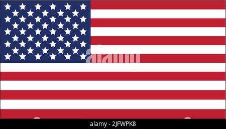United States Flag Vector Illustration , bandiera USA Illustrazione Vettoriale