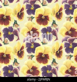 Pansy fiori disegnati a mano in acquerello. Elemento floreale su sfondo bianco per i tuoi progetti creativi, carte, inviti. Foto Stock