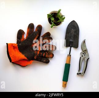 Guanti di colore arancione accanto agli attrezzi da giardino e un piccolo scolo su un tavolo bianco Foto Stock