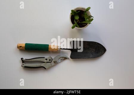 Guanti di colore arancione accanto agli attrezzi da giardino e un piccolo scolo su un tavolo bianco Foto Stock