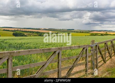 Lo Yorkshire Wolds in estate con doppi cancelli agricoli, raccolti colorati, pascoli, foreste e cieli nuvolosi. East Yorkshire, Regno Unito. Orizzontale. Copia spa Foto Stock