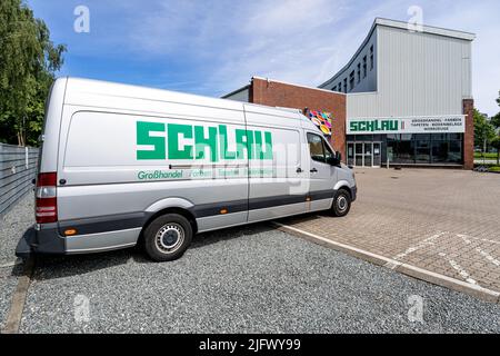 Van Schlau Mercedes-Benz Sprinter Foto Stock
