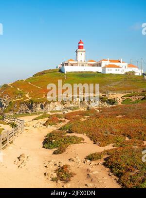 Sole stagionale con vista sul faro di Cabo da Roca, Portogallo Foto Stock