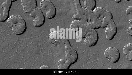 Paesaggio marziano. Questa immagine HIRISE mostra le landform sul cappuccio residuo polare sud. Queste forme arrotondate si evolvono relativamente rapidamente e si erodono nella superficie della calotta di ghiaccio, approssimativamente 4 - 5 metri (15 piedi) per year.Their forme interessanti rendono per un aspetto impressionante sulla superficie. Si parla di Òresidual capÓ in quanto si riferisce al ghiaccio che ha persistito oltre il cambiamento delle stagioni.Image è meno di 5 km. Una versione ottimizzata e migliorata di immagini della NASA. Credit: NASA/JPL/UArizona Foto Stock