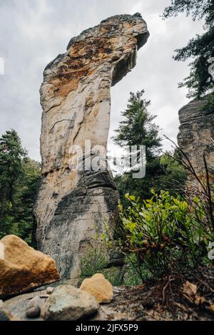 Famosa torre di roccia chiamata Kobyla nella zona di pietra arenaria Prihrazy, paradiso boemo, repubblica Ceca. Foto Stock