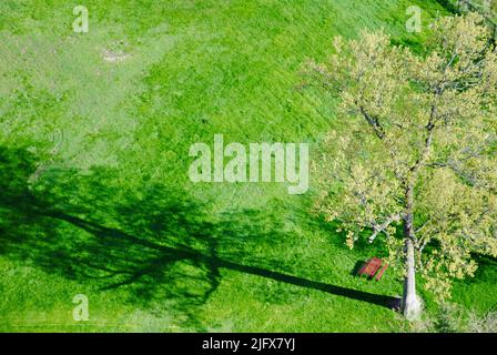 Una piccola panca sotto l'ombra di un albero a Lakewood, Ohio, nel maggio 2022 Foto Stock