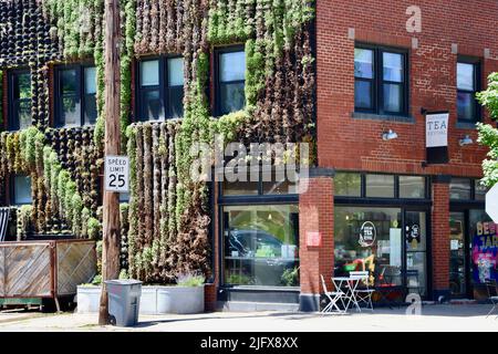 Muro coperto di piante a Ohio City, Cleveland, Ohio nel maggio 2022 Foto Stock