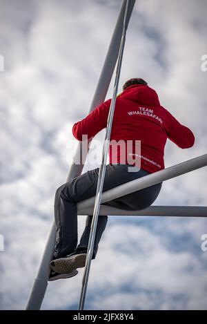 Giovane uomo sul nido di un corvo in barca alla ricerca di mammiferi marini durante un safari di avvistamento delle balene, Andenes, Norvegia Foto Stock