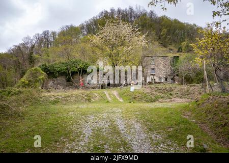 La vista della vecchia casa in pietra a due piani coperta da alberi contro la collina Foto Stock