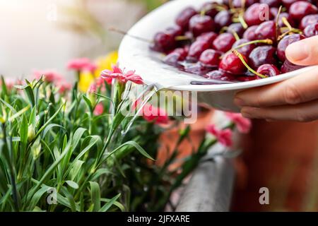 Primo piano donna annaffiatura mano fiore rosa garofano vasi di fiori con acqua dopo il lavaggio ciliegia frutta verdure in ciotola casa balcone terrazza giardino Foto Stock