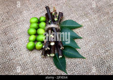 Margosa foglie, frutta e steli su tessuto di iuta sfondo. Neem foglia, semi, rami pezzi per ayurveda, omeopatia, e medicina tradizionale Foto Stock