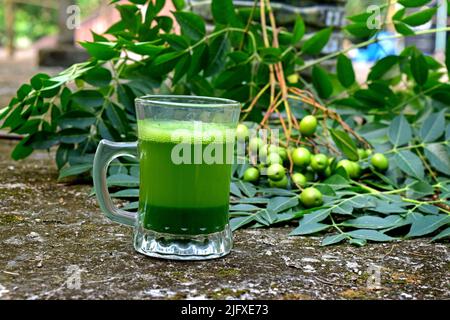 Succo di erbe medicinali Neem in bicchiere. Foglie di Neem, frutti su sfondo astratto. Materia prima ayurvedica. Medicina ayurveda liquida di Neem. Foto Stock