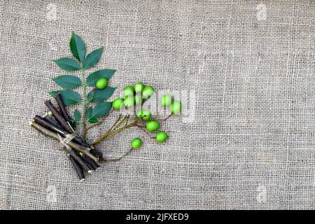 Neem foglie, frutta, e gambi su tessuto di iuta sfondo. Semi di neem medicinali, foglie, rami per l'omeopatia, materie prime tradizionali ayurveda Foto Stock