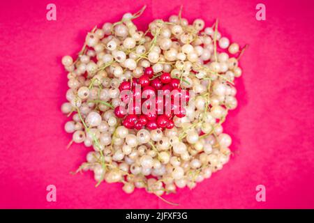 Ribes giallo e rosso su sfondo rosa Foto Stock