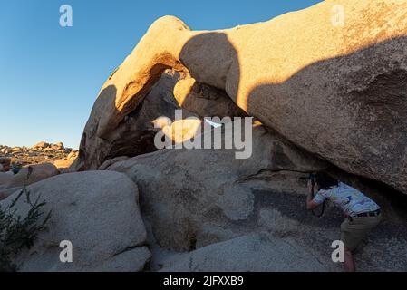 Boulder , paesaggio desertico nel Parco Nazionale di Joshua Tree Foto Stock