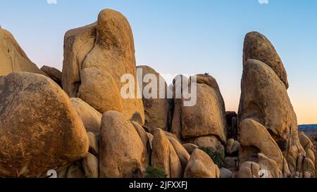 Boulder , paesaggio desertico nel Parco Nazionale di Joshua Tree Foto Stock