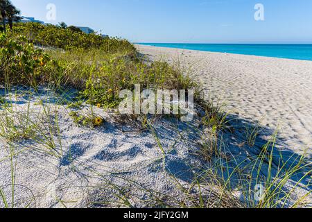 La sabbia bianca di Coquina Beach, Bradenton, Florida, Stati Uniti Foto Stock